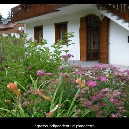 A Cadore *